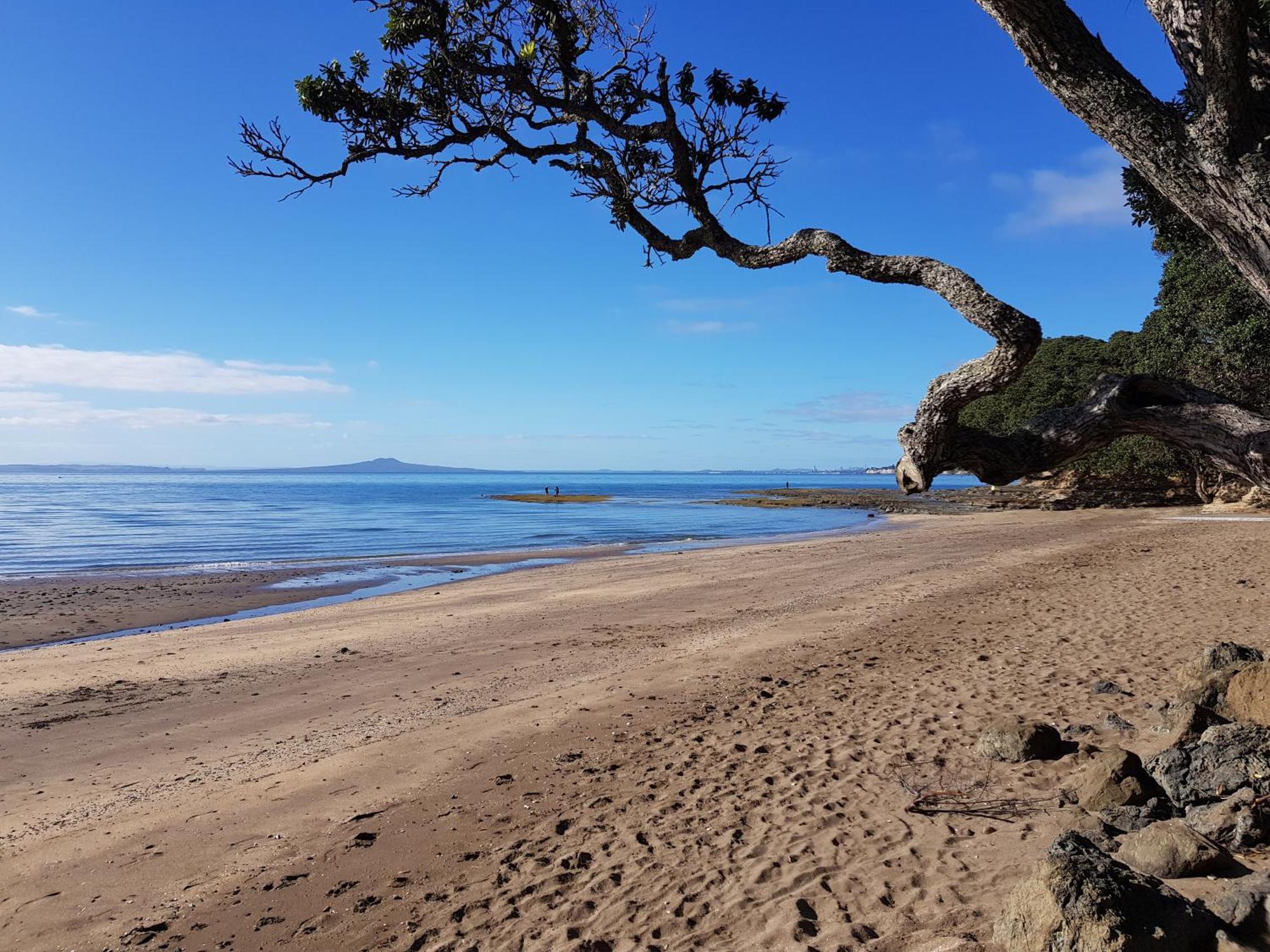Whangaparaoa Lodge Luaran gambar